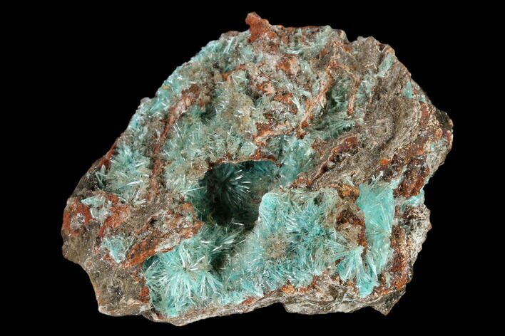 Fibrous Aurichalcite Crystal Cluster - Mexico #119161